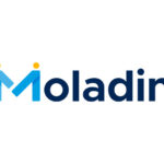 loogo moladin